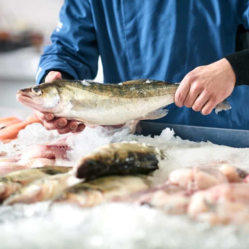 Tour the fish market during your Brixham holiday