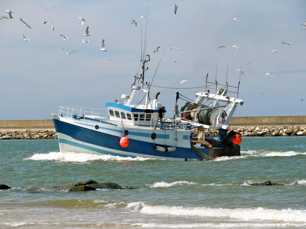 Brixham Trawler Race