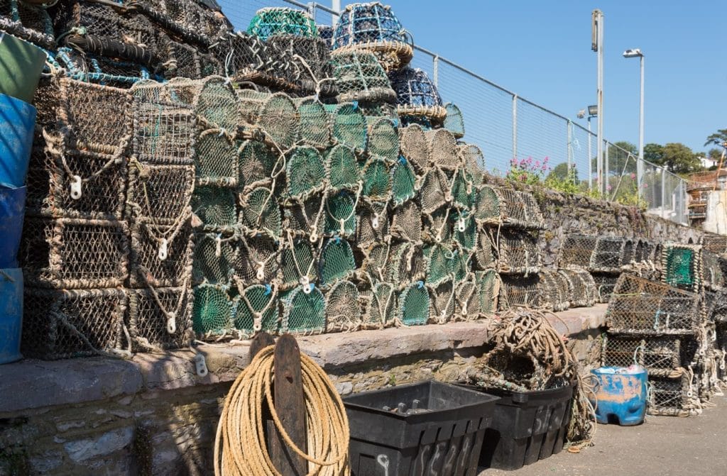 Brixham Fish Market