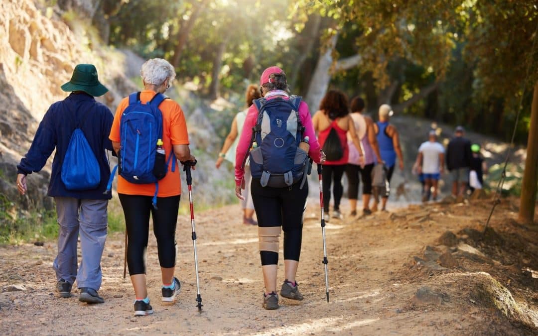 Walking Festival