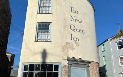 The Best Pubs and Bars to Visit in Brixham  