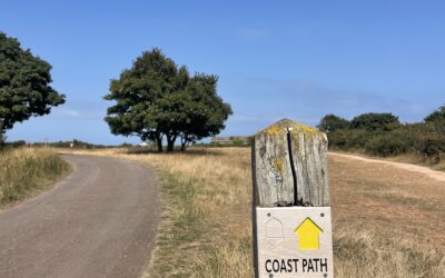 January Sunrise & Sunset Walks in Brixham: A Local’s Guide to the Best Winter Light