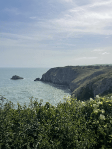 My Brixham Holiday Things to do in Brixham Things to do in Brixham Things to do in Brixham