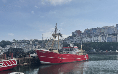 National Maritime Day in Brixham: The Perfect Seaside Town to Celebrate Britain’s Seafaring Heritage