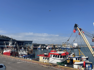 National Maritime Day in Brixham